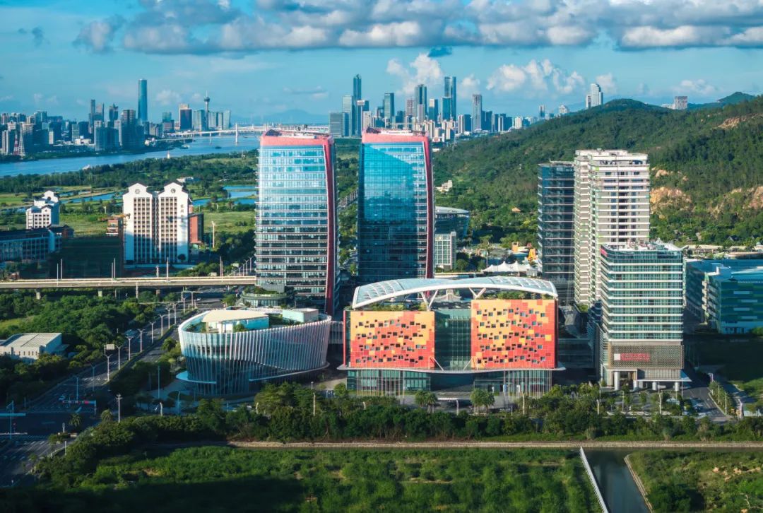 1731403868492897.jpg 6.jpg