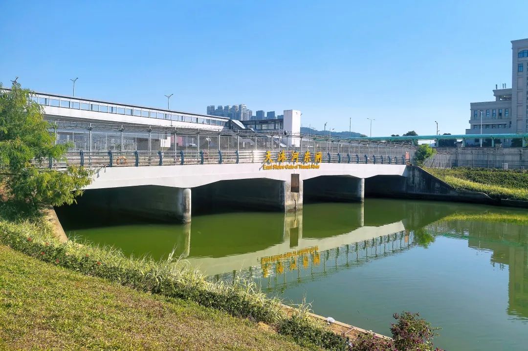 1733475445370923.jpg 6.jpg