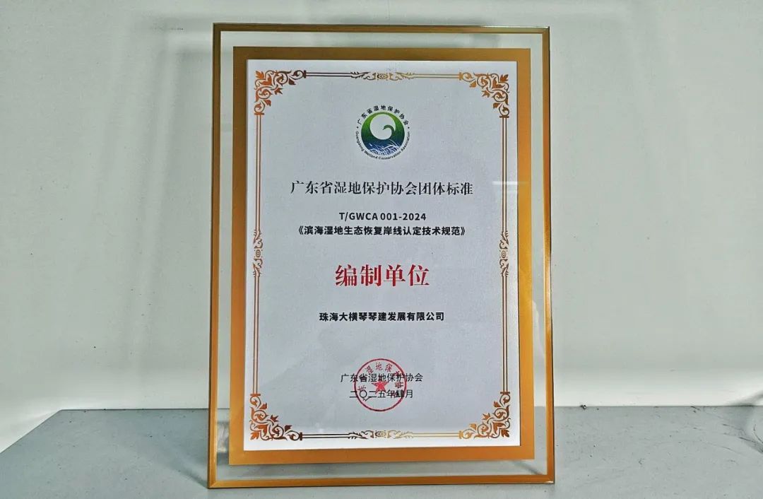 1747194186656106.jpg 8.jpg